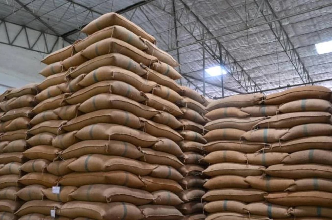 Jute sacks of grain stacked high inside a large warehouse