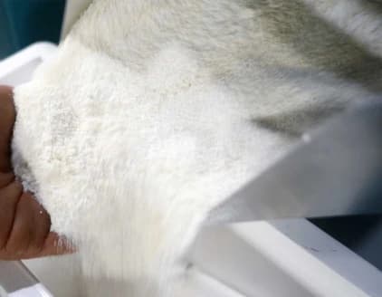 Fine white flour pouring