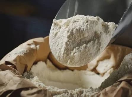 Scoop of flour lifted from an open sack