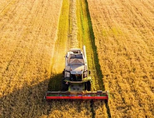 Combine harvester working a golden cereal field, seen from above